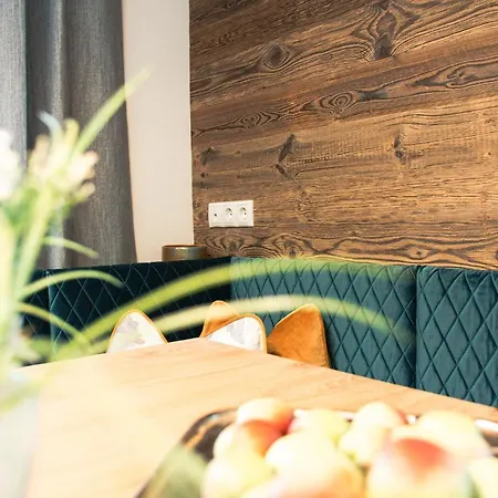 Apartment 423 - Penthouse Centrum Near Area Mayrhofen