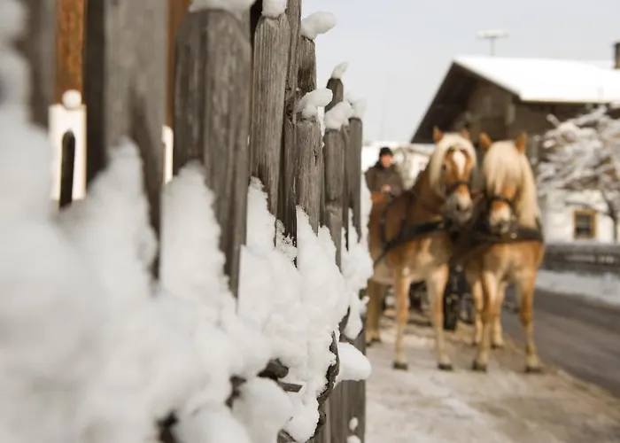423 - Penthouse Centrum Near Area דירה *