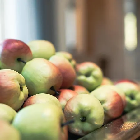 423 - Penthouse Centrum Near Area Appartement Mayrhofen