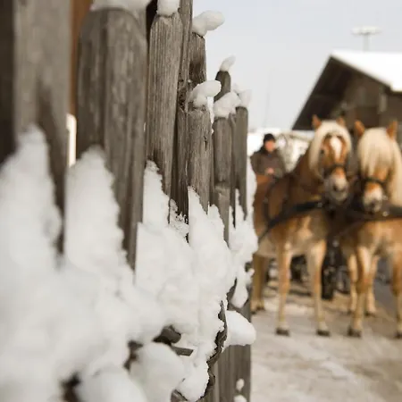 423 - Penthouse Centrum Near Area Appartement *