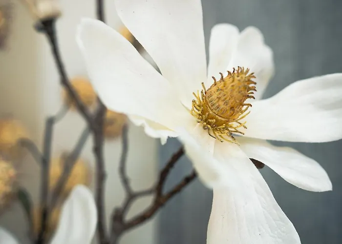 423 - Penthouse Centrum Near Area * Mayrhofen